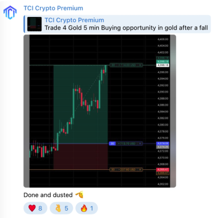 TCI Crypto Premium — live Gold and Crypto trade setups on Telegram